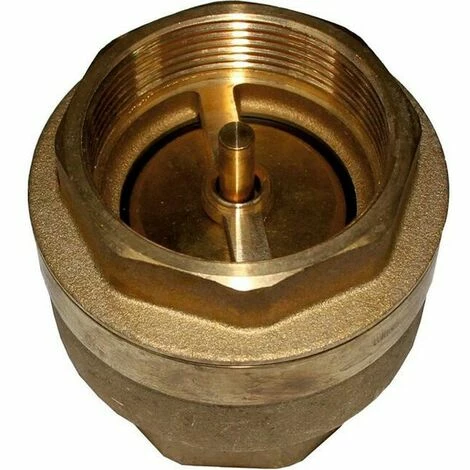 WOLF Rückschlagventil IG 2" PN10 Für LS, SLS, FWS, PG45, 2071483 1 WOLF Rückschlagventil IG 2" PN10 Für LS, SLS, FWS, PG45, 2071483